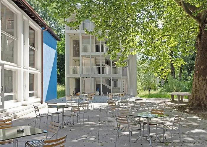 بيت شباب شباب بيرن يوث *